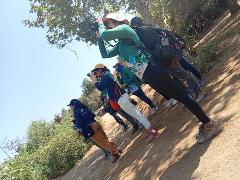 20240804 - Avistamiento de aves domingo - (6)