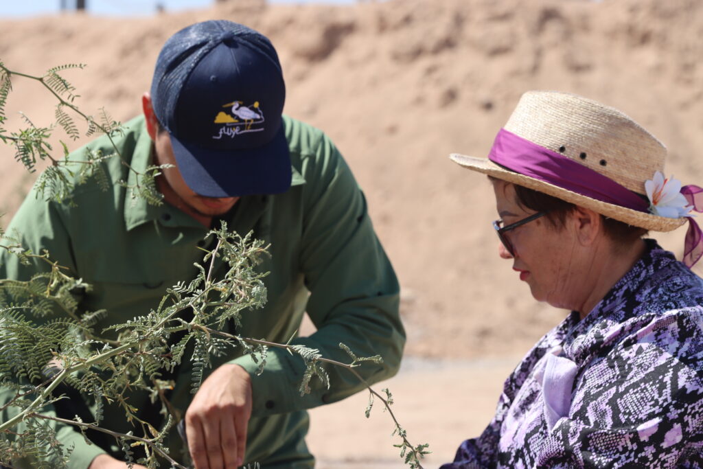 20250521 - MDA Sitio - (9)