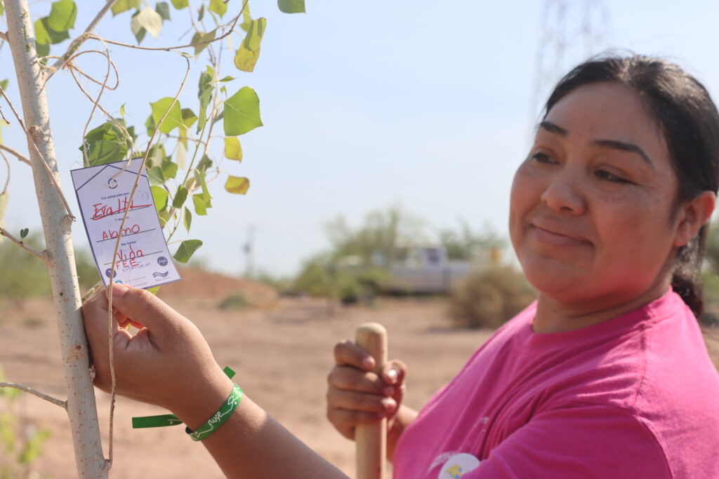 20260628 - Reforestacion MDA - (130)