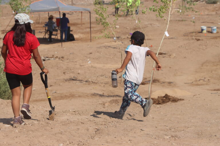 20260628 - Reforestacion MDA - (275)