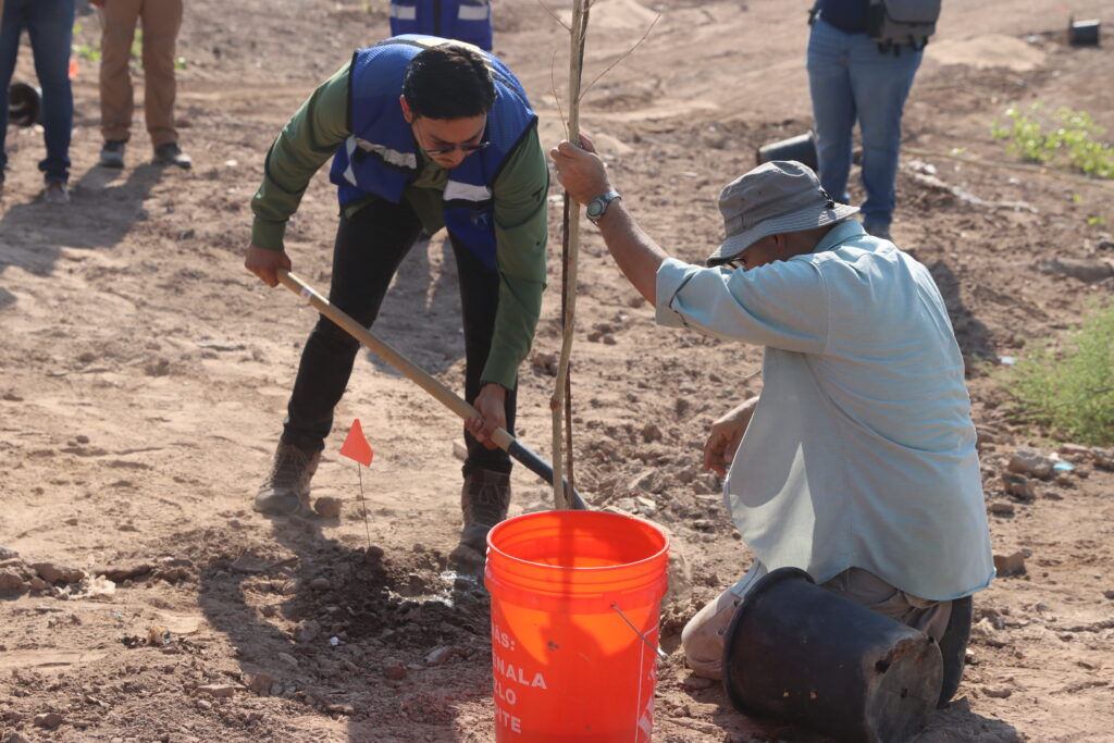20260628 - Reforestacion MDA - (66)