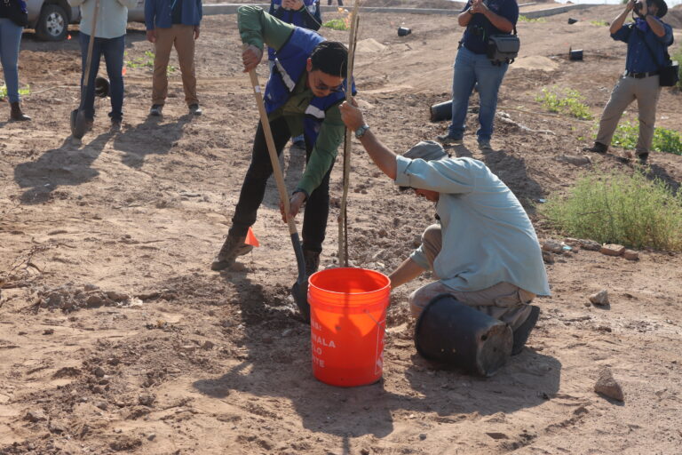 20260628 - Reforestacion MDA - (67)