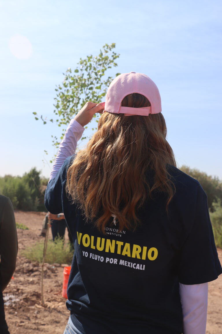 20260628 - Reforestacion MDA - (73)