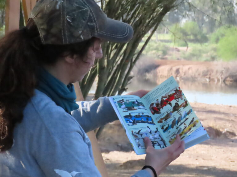 Avistamiento de Aves - CH - (67)