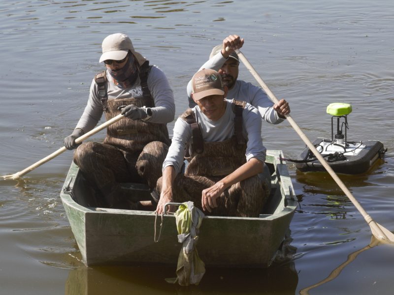 20240215 - Limpieza - (8)