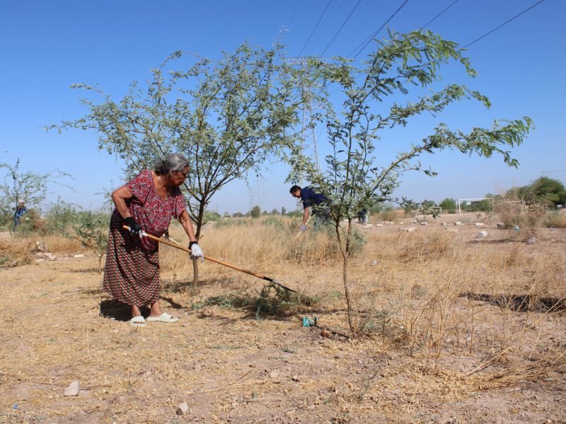 20240704 - Limpieza en DCN Misión del ángel - (16)