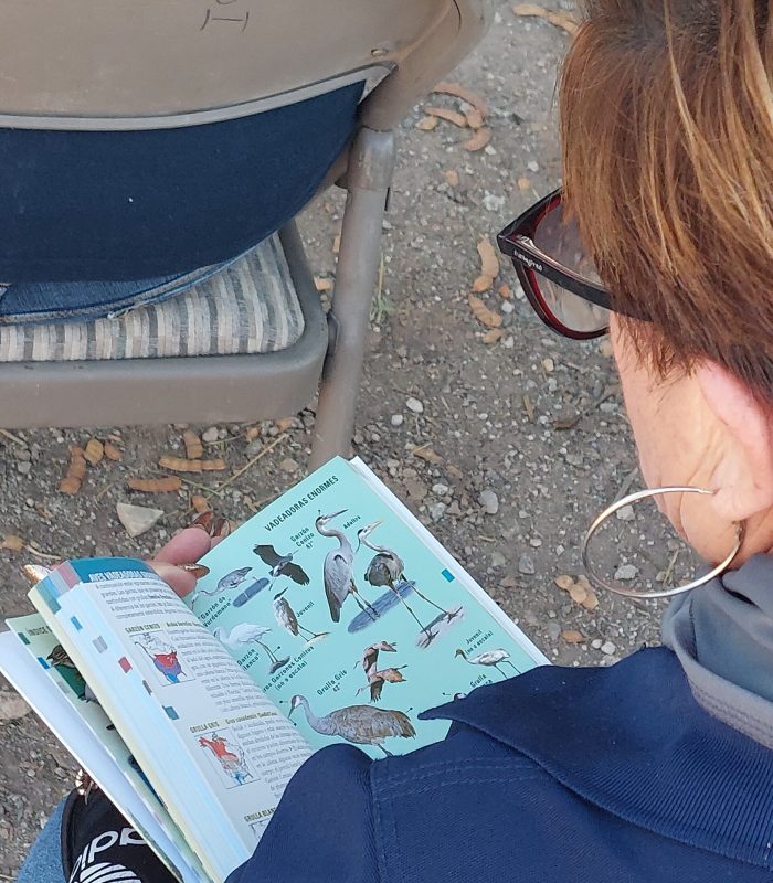 20240925 - 1er taller de avistamiento MDA (13)