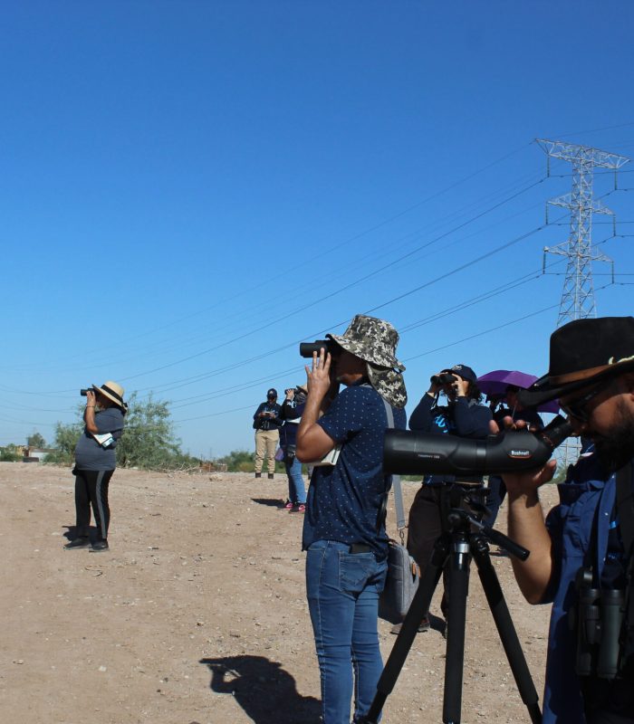 20240925 - Taller de avistamiento - Mxl Fluye - Comunidad MDA - AM - (32)