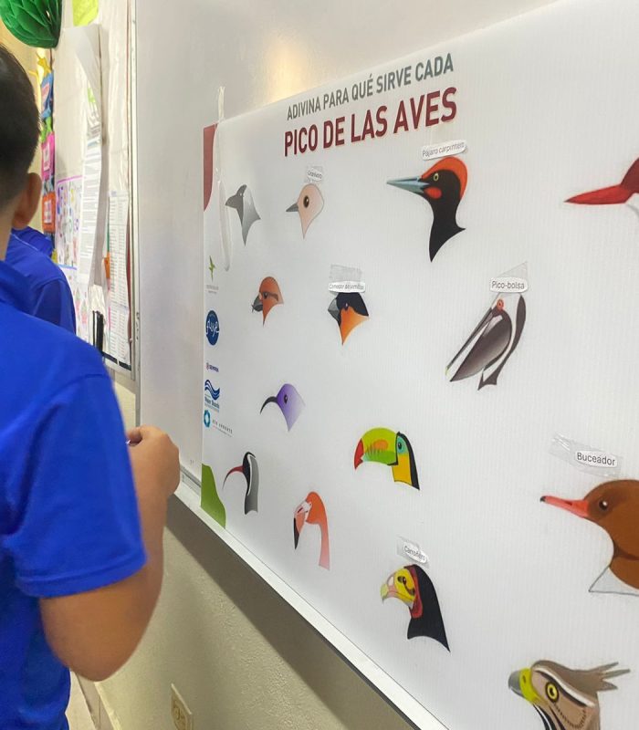 20241002 - Talleres (24)