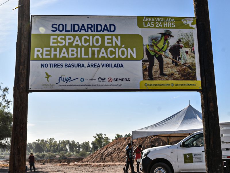 20241026 - Reforestación (25)