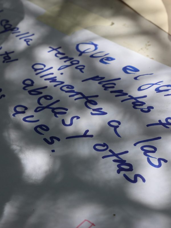 20250425 - Avistamiento y tallercito - Mxl Fluye - (117)