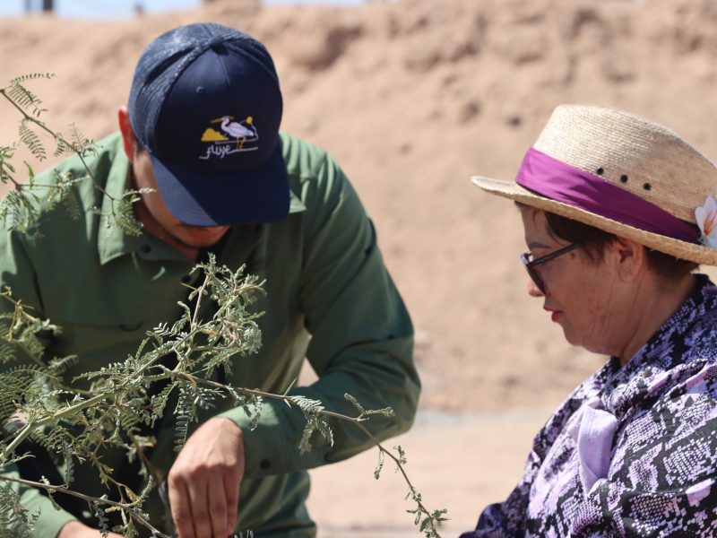 20250521 - MDA Sitio - (9)