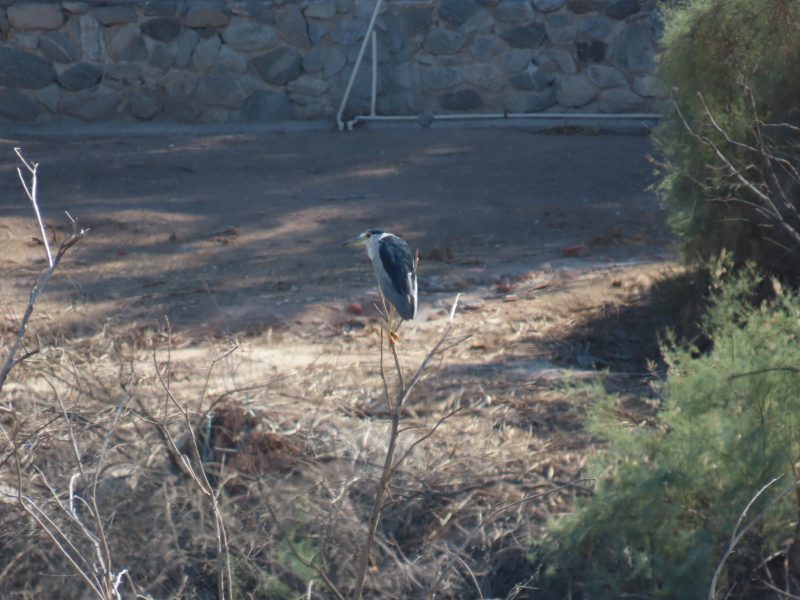 20250910 - Fotos de sitios i monitoreos - (21)