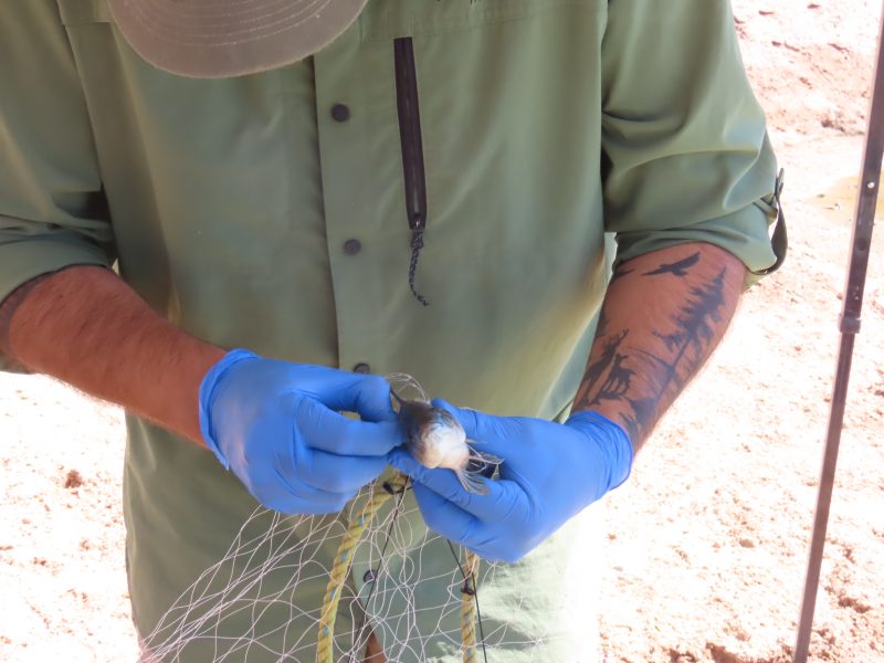 20250910 - Fotos de sitios i monitoreos - (54)