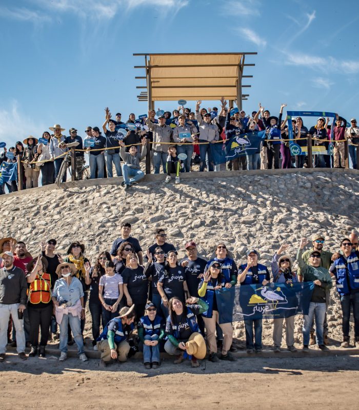 20251018 - Forestación de Ale C - (1)