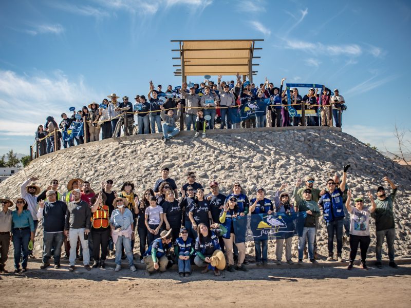 20251018 - Forestación de Ale C - (1)