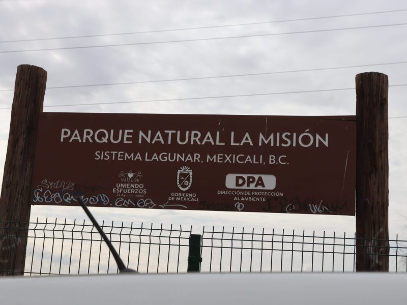 20260128 - Huerto MDA camas - (81)