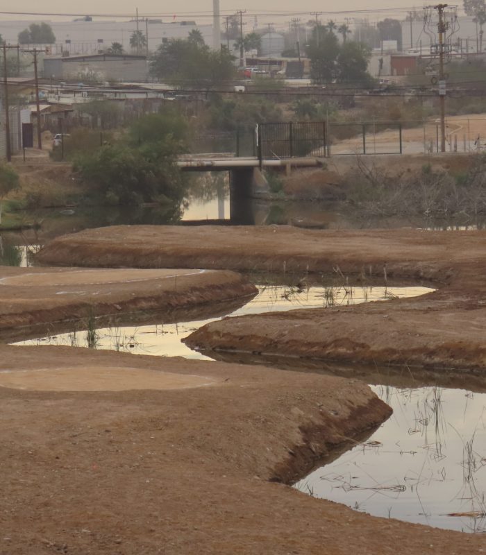 20260211 - Pics birds - Gera - Camara JC - monitoreo de aves - (53)