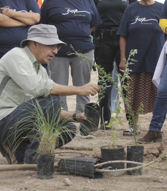Tomás en la refprestación
